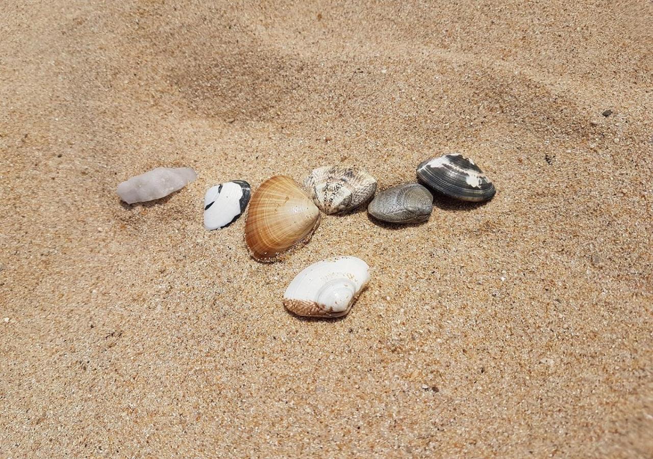 Seaside Pension 固城郡 エクステリア 写真