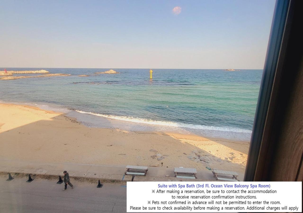 Seaside Pension 固城郡 エクステリア 写真